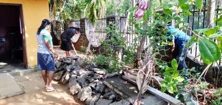 Home gardening program implemented in the office premises